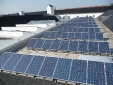 Maybach Solar, Neumarkt